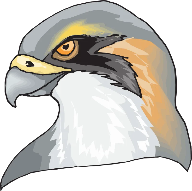 Hawk Bird Head Stickdatei – Natur