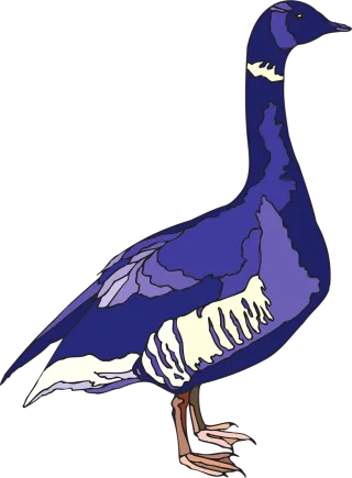 Blue Purple Bird Stickdatei