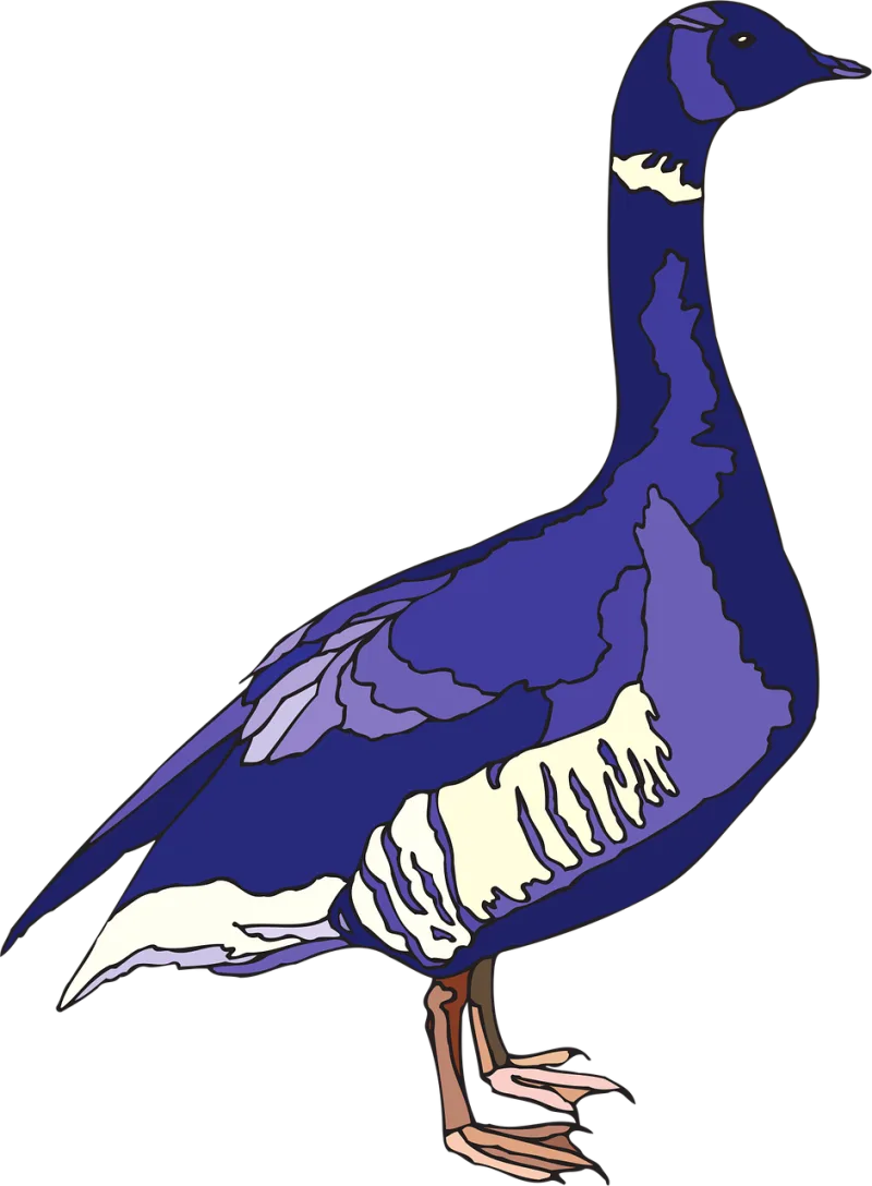 Blue Purple Bird Stickdatei – Natur