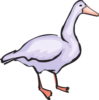 Bird Style Wings Stickdatei