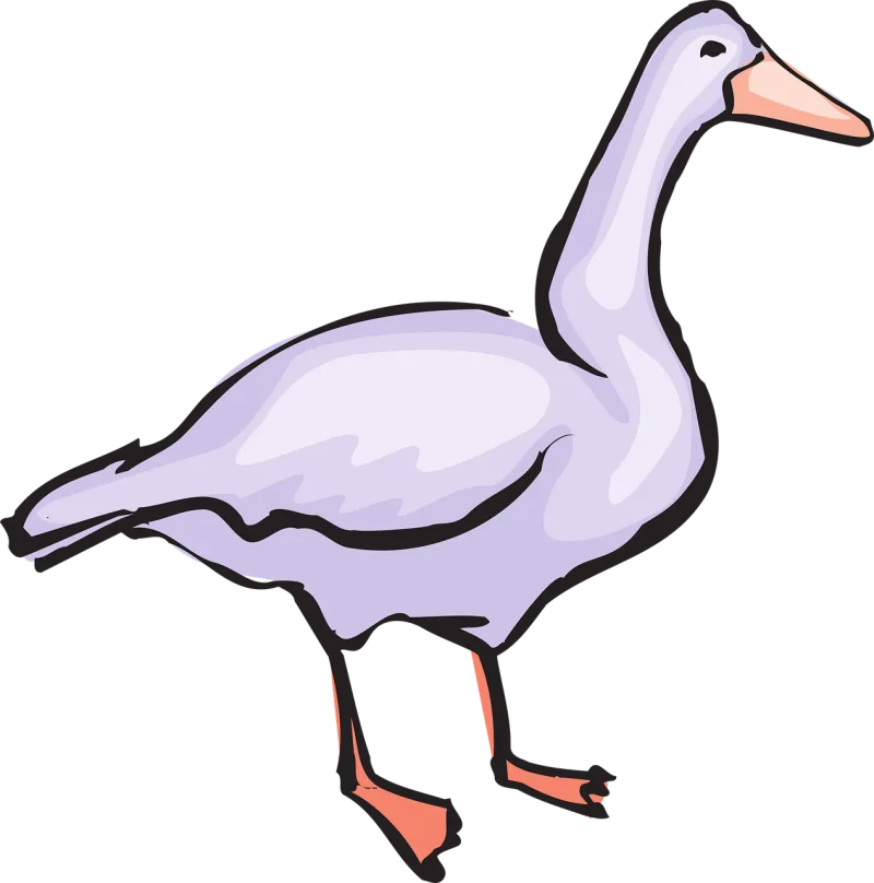 Bird Style Wings Stickdatei – Natur