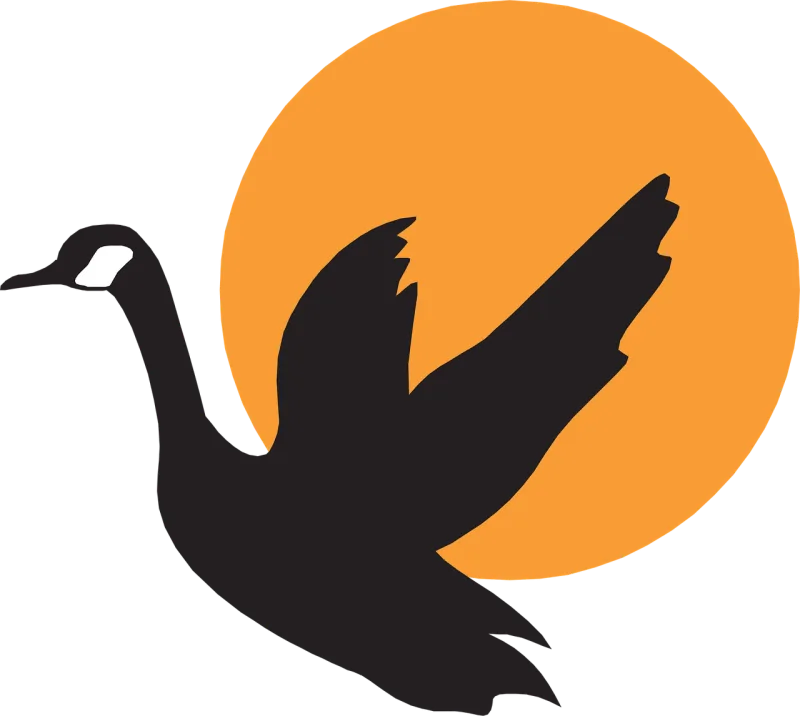 Silhouette Bird Flying Stickdatei – Natur