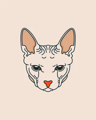 Car Sphynx Kitten Stickdatei
