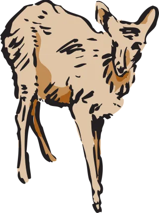 Deer Animal Mammal Stickdatei