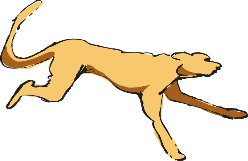 Dog Nature Running Stickdatei – Sport