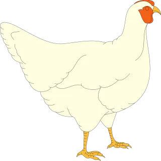 Chicken Hen Farm Stickdatei