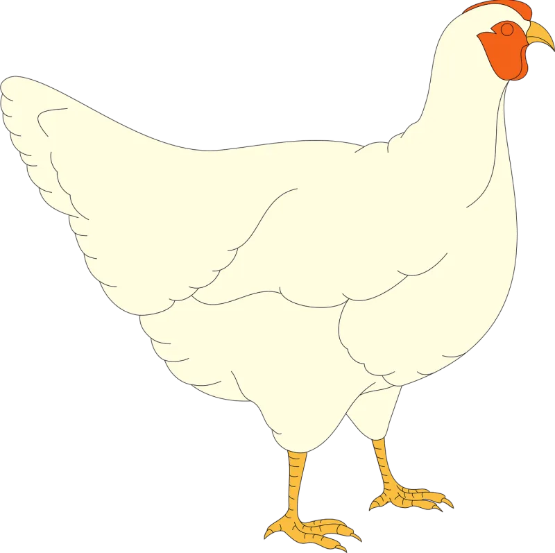 Chicken Hen Farm Stickdatei – Natur