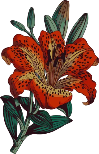 Lily Flower Bloom Stickdatei