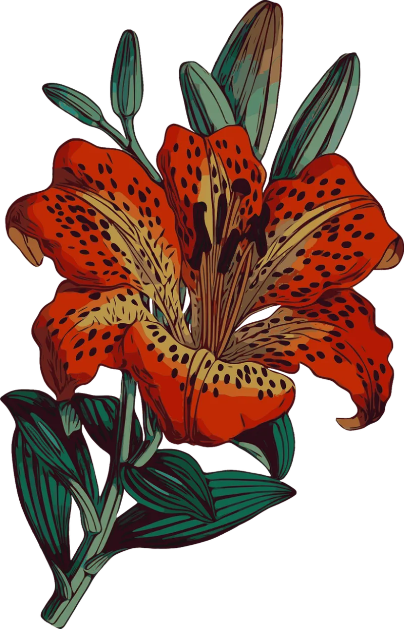 Lily Flower Bloom Stickdatei – Blumen