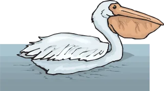 Water Bird Swimming Stickdatei