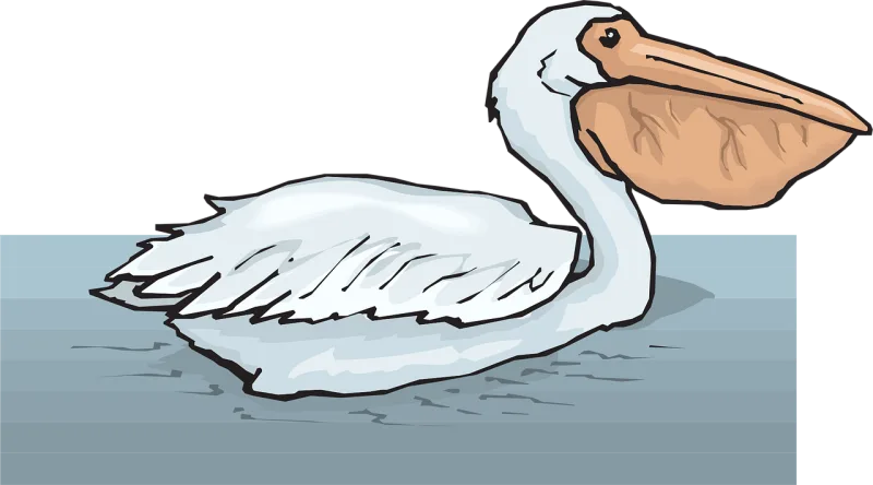 Water Bird Swimming Stickdatei – Sport