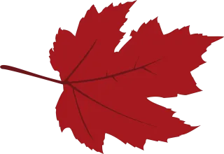 Canadian Nature Maple Stickdatei