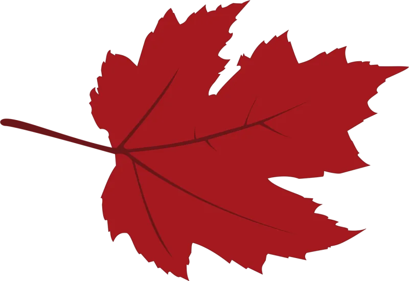 Canadian Nature Maple Stickdatei – Natur
