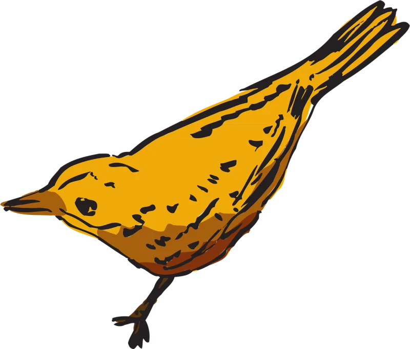 Yellow Bird Wings Stickdatei – Natur