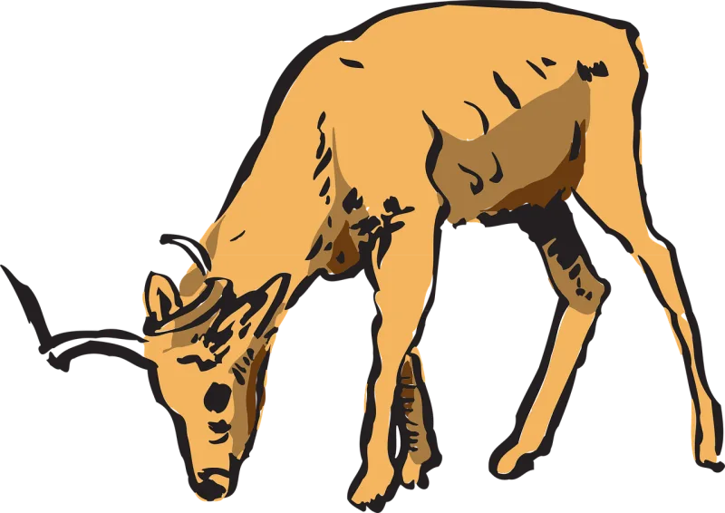 Antelope Forest Grazing Stickdatei – Tiere
