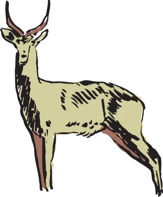 Animal Antelope Horns Stickdatei