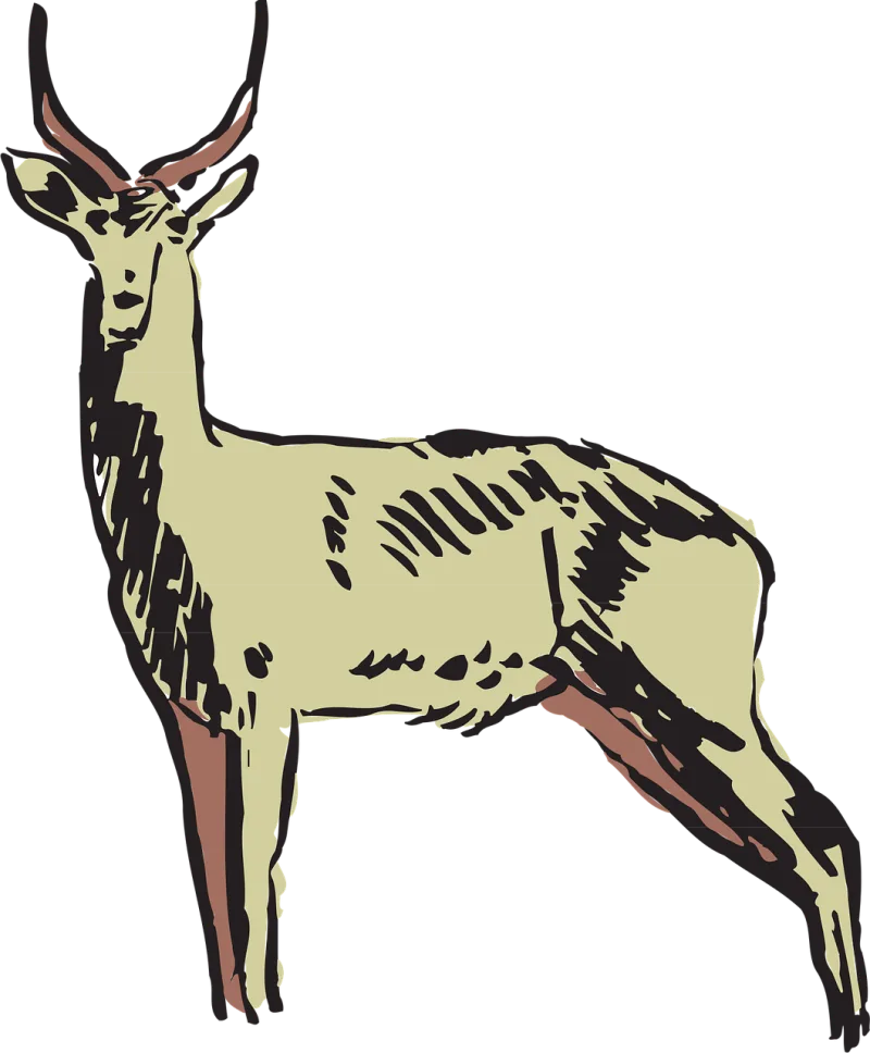 Animal Antelope Horns Stickdatei – Tiere
