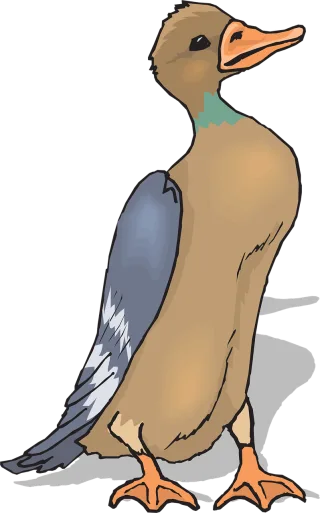 Brown Nature Bird Stickdatei