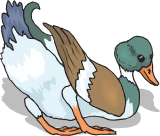 Bird Duck Nature Stickdatei