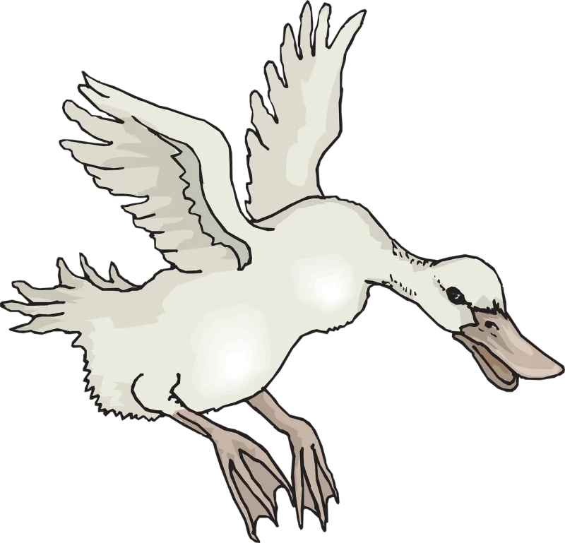 White Bird Nature Stickdatei – Natur