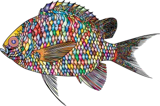 Fish Animal Ocean Stickdatei
