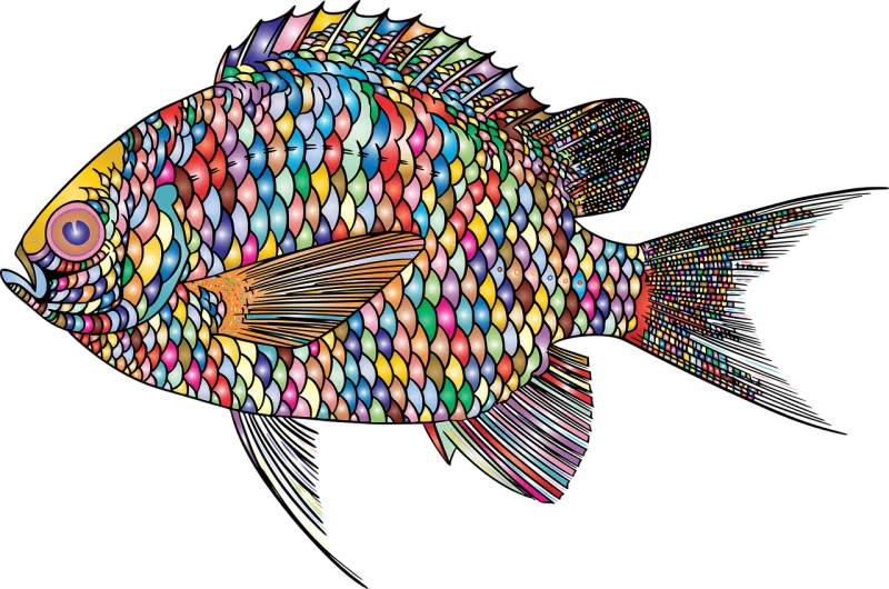 Fish Animal Ocean Stickdatei – Sport