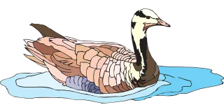 Water Bird Goose Stickdatei