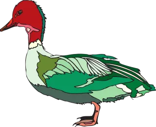 Red Green Bird Stickdatei – Natur