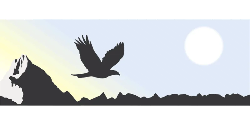 Mountain Sun Eagle Stickdatei – Natur