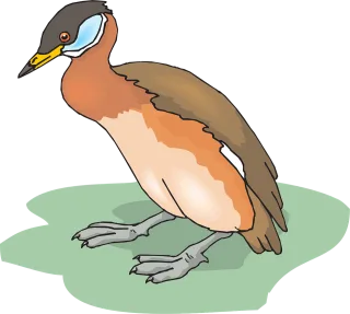 Bird Nature Duck Stickdatei