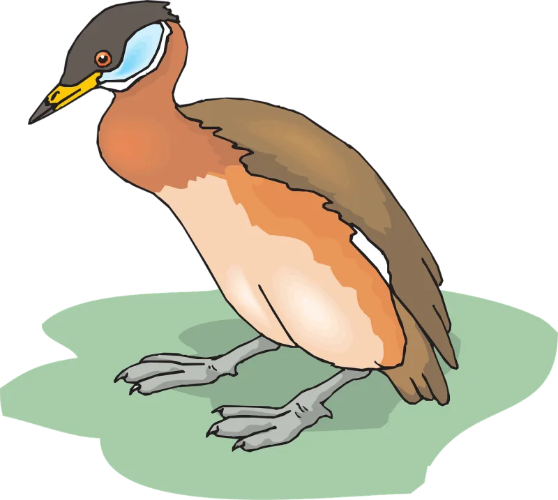 Bird Nature Duck Stickdatei – Natur