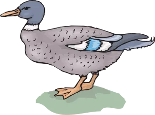 Bird Duck Nature Stickdatei