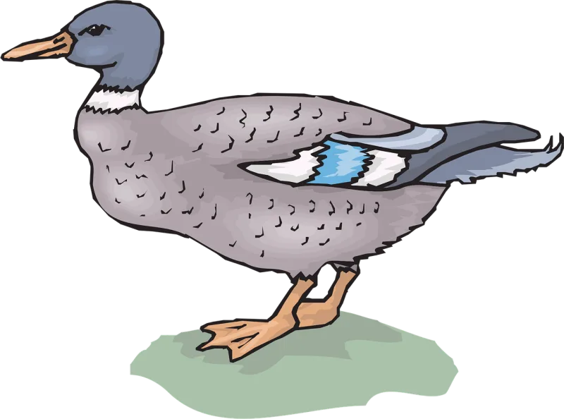 Bird Duck Nature Stickdatei – Natur