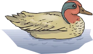 Water Bird Duck Stickdatei