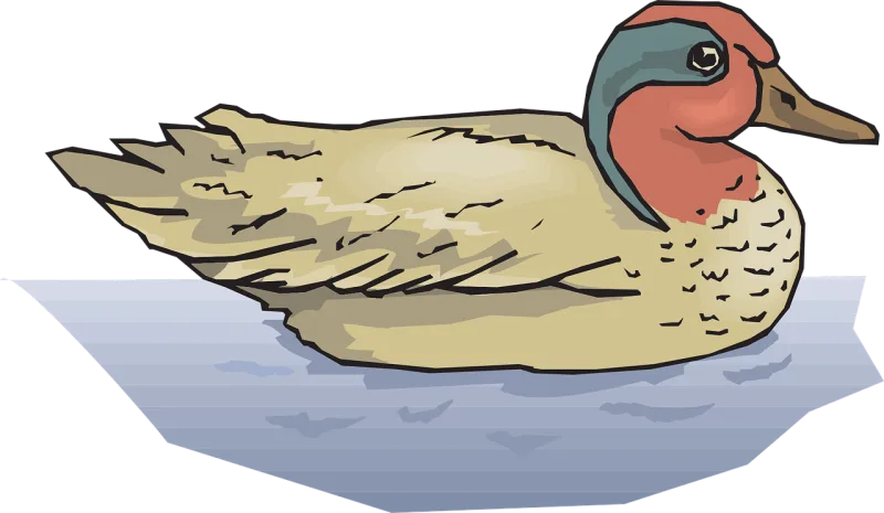 Water Bird Duck Stickdatei – Sport