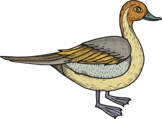 Bird Nature Duck Stickdatei