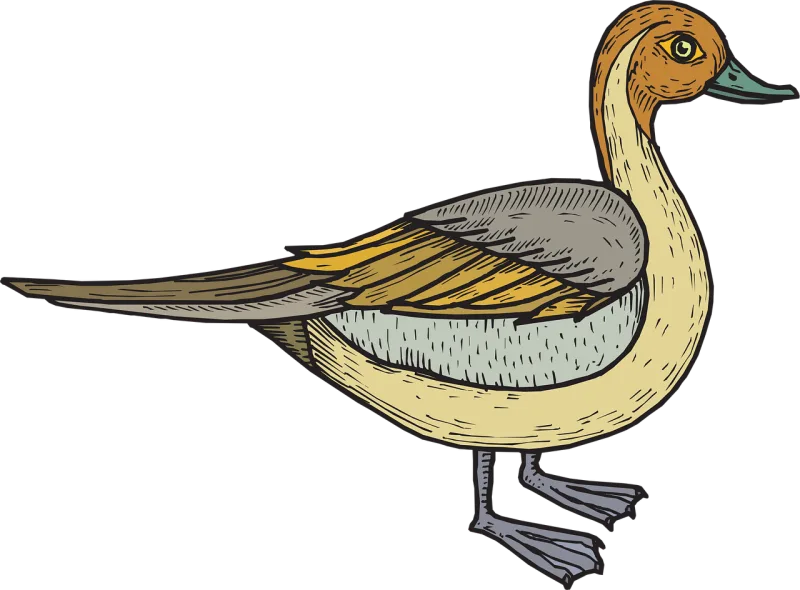 Bird Nature Duck Stickdatei – Natur