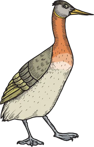 Bird Duck Wings Stickdatei