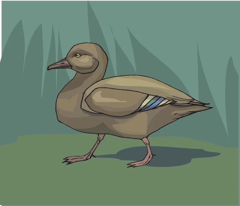 Bird Duck Grass Stickdatei – Natur