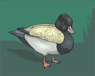 Bird Duck Grass Stickdatei