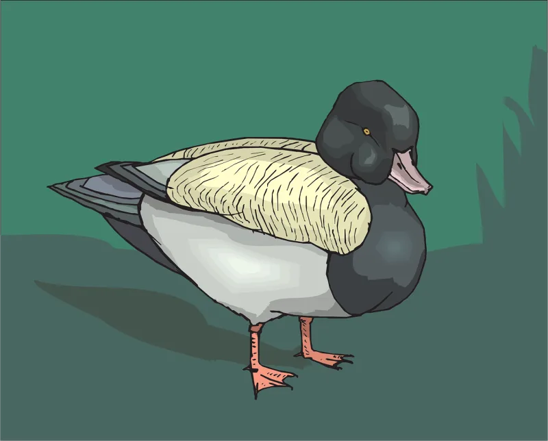 Bird Duck Grass Stickdatei – Natur