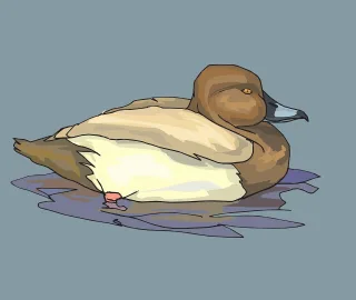 Water Brown Bird Stickdatei