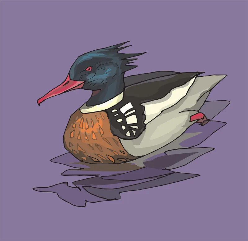 Water Bird Duck Stickdatei – Sport