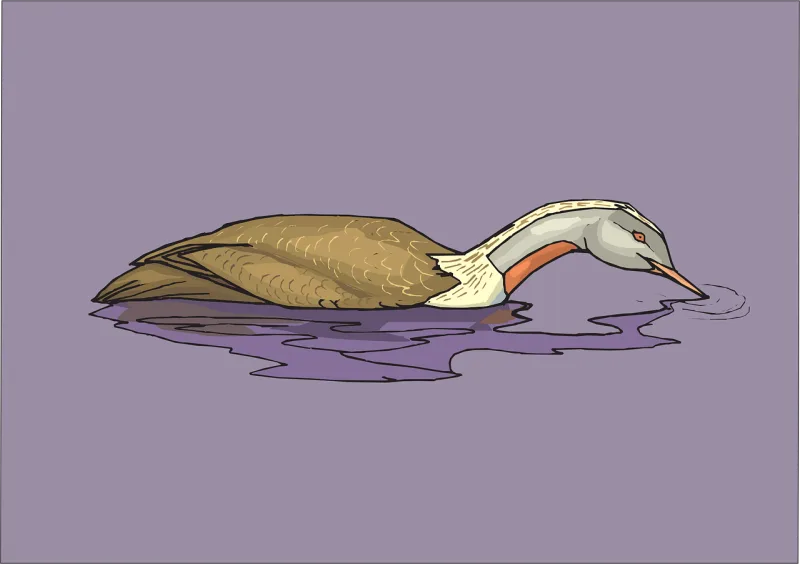 Water Food Bird Stickdatei – Sport