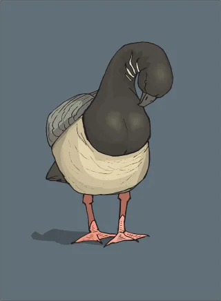 Blue Beautiful wallpaper Bird Stickdatei