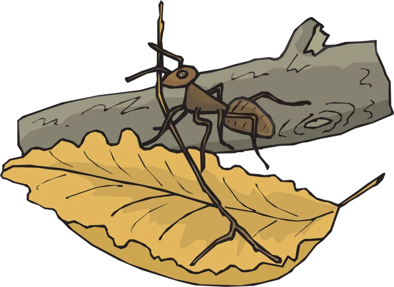Leaf Branch Ant Stickdatei – Natur