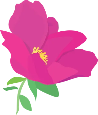 Flower Pink Flower wallpaper Stickdatei