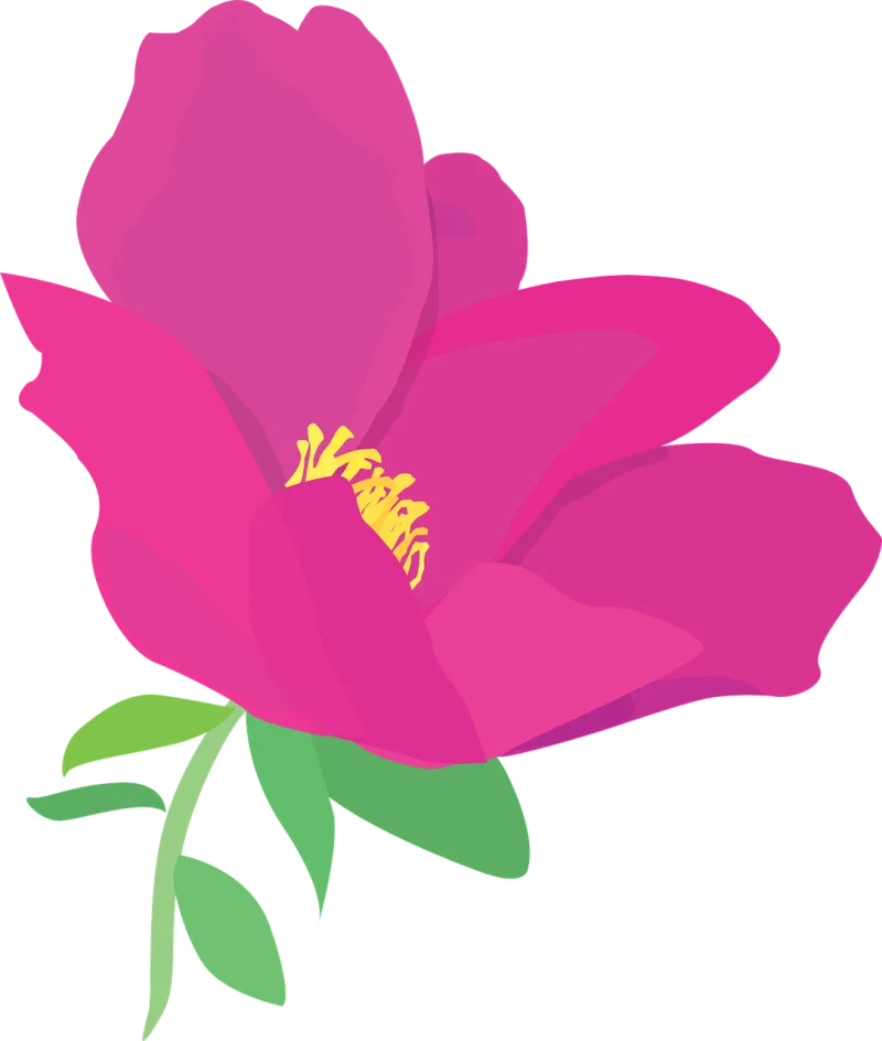 Flower Pink Flower wallpaper Stickdatei – Blumen