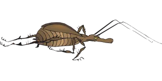 Antenna Bug Wings Stickdatei – Tiere