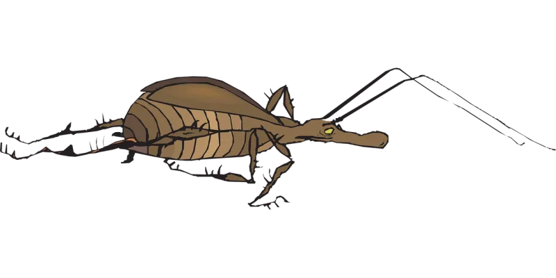 Antenna Bug Wings Stickdatei – Tiere